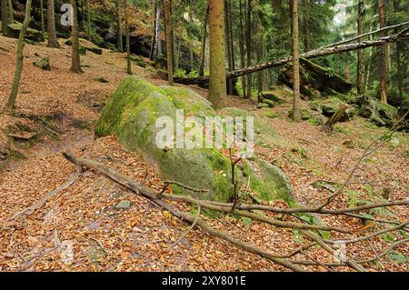 Sandsteinfelsen im Wald, pietra arenaria nella foresta 19 Foto Stock