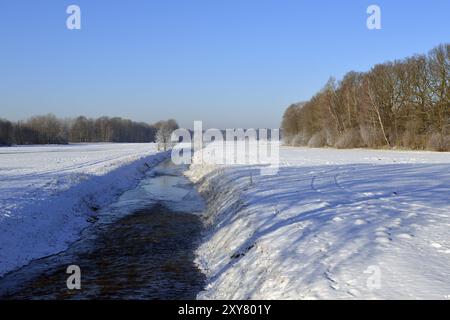 Grande egret e airone grigio in inverno su un fiume. Ottimo egret e airone grigio in inverno. La piccola Sprea vicino a Lippitsch nell'alta Lusazia Foto Stock