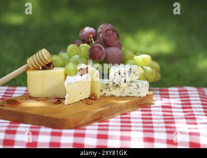 Vari tipi di formaggio con uve outdoor Foto Stock