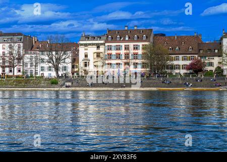 Münster Ferry 'Leu' è un traghetto di reazione sulla riva nord del fiume Reno. Utilizza la corrente fluviale per portare la barca da un lato all'altro. Foto Stock