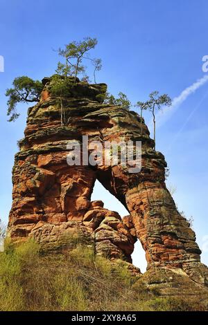 Lo Swallow Rock è uno spettacolo straordinario nella regione di Dahner Felsenland Foto Stock