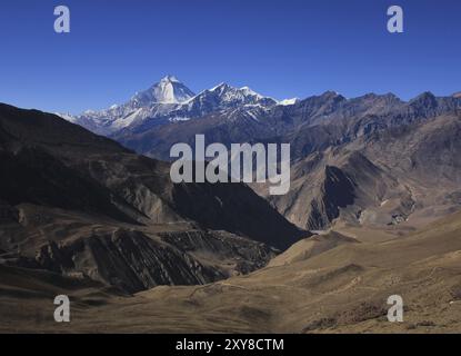 La settima montagna più alta del mondo. Monte Dhaulagiri visto da un luogo vicino a Muktinath Foto Stock