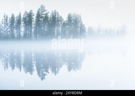 Alba in un lago forestale, Norrbotten, Lapponia, Svezia, agosto 2015, Europa Foto Stock