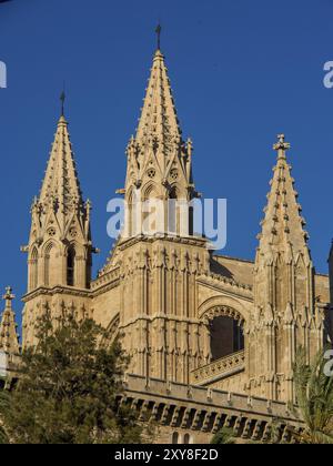 Vista ravvicinata di una cattedrale gotica con torri suggestive, palma di Maiorca, maiorca, isole baleari, spagna Foto Stock