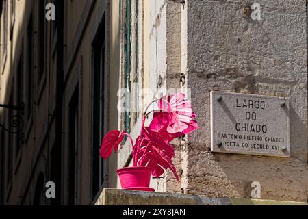 Un vibrante tocco di colore nel cuore di Lisbona, una suggestiva scultura di piante rosa in un edificio vicino all'iconico largo do Chiado. Foto Stock