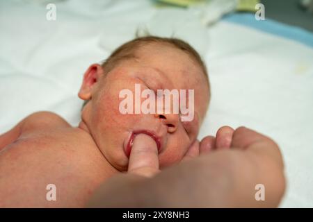 Un neonato sereno giace su una coperta bianca con gli occhi chiusi, succhiando il dito dei genitori. Questa immagine cattura l'essenza della cura del neonato e del Foto Stock