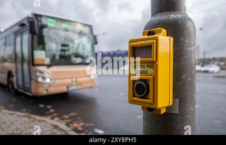 HAVIROV, CECHIA - 21 OTTOBRE 2018: Controller con testo "pulsante per pedoni" in lingua ceca sul palo vicino all'attraversamento pedonale con autobus in sfocatura posteriore Foto Stock