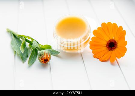 Salve fatta con Calendula officinalis, la calendula, la calendula comune, le coccole, l'oro di Maria o la calendula scozzese. Barattolo con balsamo medicinale su bianco. Foto Stock