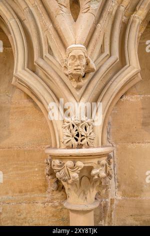 Particolare di una faccia nella Chapter House, Southwell Minster, Southwell, Nottinghamshire, East Midlands, REGNO UNITO Foto Stock