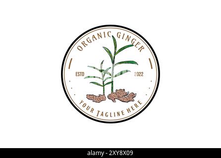 Etichetta circolare vintage del logo della pianta dello zenzero per l'azienda agricola o del logo del prodotto Illustrazione Vettoriale