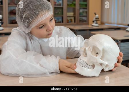 Una studentessa con un cappotto bianco studia un modello anatomico di un cranio umano in una classe scolastica. Lezione di anatomia. Foto di alta qualità Foto Stock