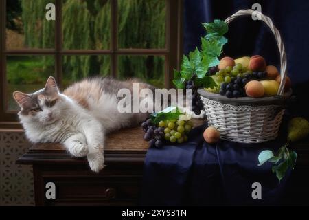 Un bel gattino e un cestino di frutta Foto Stock