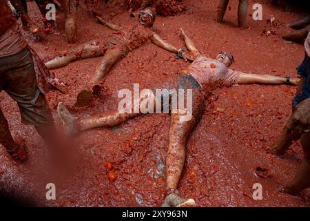 Valencia, Spagna. 28 agosto 2024. I partecipanti al festival della Tomatina di Buñol si coprono con pomodori schiacciati durante il festival della Tomatina. Ancora una volta, il popolare festival la Tomatina si tenne nella città valenciana di Buñol. Sei camion con 120.000 chili di pomodori sono stati lanciati tra i 22.000 partecipanti al festival. Credito: SOPA Images Limited/Alamy Live News Foto Stock