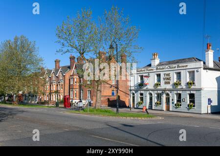 Regno Unito, Inghilterra, Kent, Tenterden, High Street con la casa pubblica "The Vine Inn" Foto Stock