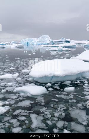 Il primo anno di ghiaccio marino che forma i corsi d'acqua nello stretto antartico, nell'Oceano meridionale. Foto Stock