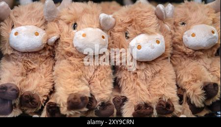 Una fila di giocattoli morbidi Highland Cow in Un negozio a Edimburgo, Scozia Foto Stock