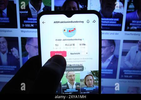 Auf einem smartphone wurde der TikTok-Kanal der Partei alternative für Deutschland AfD geöffnet. Dahinter ist auf einem laptop ebenfalls der TikTok-Kanal der AfD aufgerufen worden. Simbolo/simbolo foto. Schnelsen Hamburg *** il canale TikTok dell'alternativa alla festa tedesca AfD è stato aperto su uno smartphone dietro di esso, il canale TikTok dell'AfD è stato aperto anche su un laptop immagine simbolica foto simbolica Schnelsen Hamburg Foto Stock