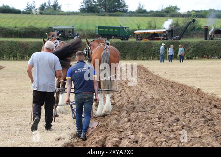 CAVALLI PESANTI CHE DIMOSTRANO TECNICHE DI ARATURA AL FORDINGBRIDGE STEAM & VINTAGE FEST Foto Stock