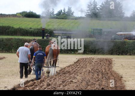 CAVALLI PESANTI CHE DIMOSTRANO TECNICHE DI ARATURA AL FORDINGBRIDGE STEAM & VINTAGE FEST Foto Stock