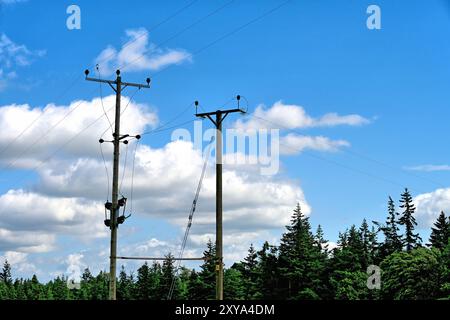 Doppi cavi telefonici in legno per telegrafo trasformatori e cavi in campagna contro il cielo blu profondo e il centro nuvola bianco vicino a una foresta Foto Stock