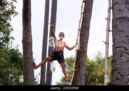 Un agricoltore che raccoglie nettare di palma da zucchero, Kampong Chhnang, Cambogia. Foto Stock