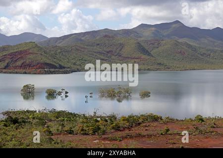 Yate Lake, parco provinciale di Blue River Foto Stock