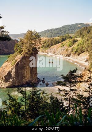 Samuel H Boardman State Park, Oregon Foto Stock