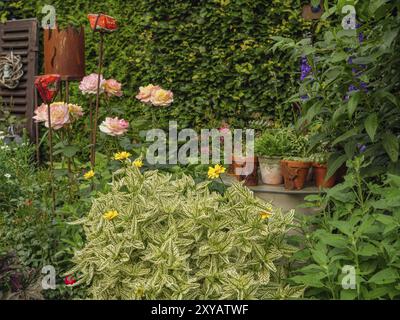 Lussureggiante giardino fiorito con vari fiori, arbusti verdi ed elementi decorativi, borken, muensterland, germania Foto Stock