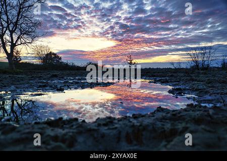 Il tramonto spettacolare si riflette in una pozzanghera, tra fango e acqua si riflette il tramonto. Sul sentiero del muro a Berlino, dove ora si trovano prati e campi, record Foto Stock