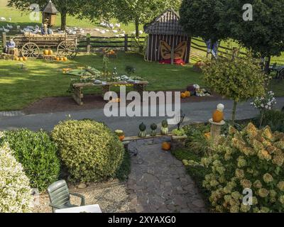 Un ampio giardino con decorazioni autunnali all'aperto, tra cui zucche e varie piante intorno ad un tavolo di legno, borken, muensterland, Germania, Europa Foto Stock