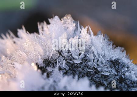 Cristalli di ghiaccio che si sono formati su un tronco di albero e sono cresciuti in altezza. Scatto invernale da Brandeburgo Foto Stock