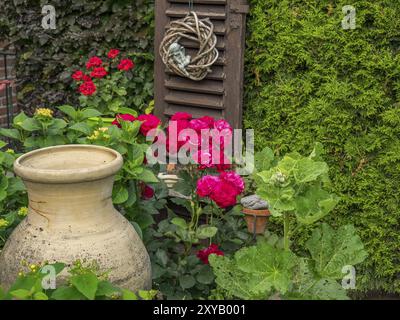 Giardino con fiori rossi, un grande vaso di argilla e vecchie persiane come decorazione, borken, muensterland, germania Foto Stock