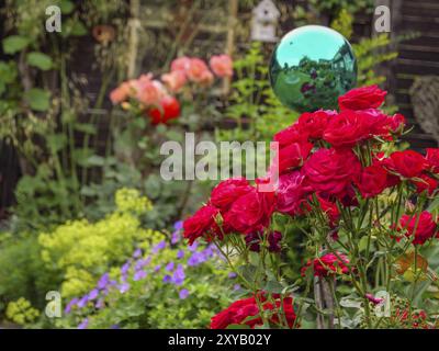 Vivace giardino con rose rosse in fiore e una palla decorata verde di fronte a una recinzione nera, borken, muensterland, germania Foto Stock