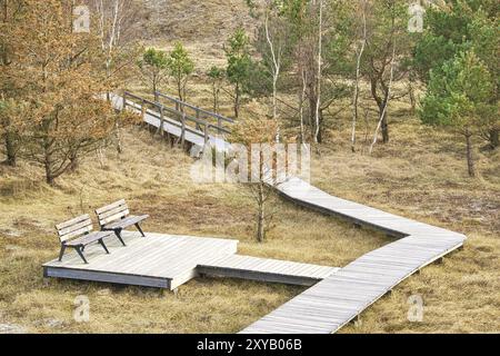Passerella in legno con panchina all'alta duna sul darss. Parco Nazionale in Germania. Foto della natura Foto Stock