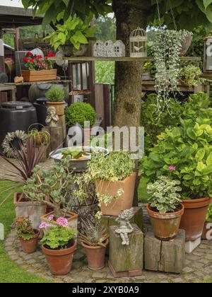 Giardino con vari vasi di fiori e piante intorno a un albero, elementi decorativi, borken, muensterland, germania Foto Stock