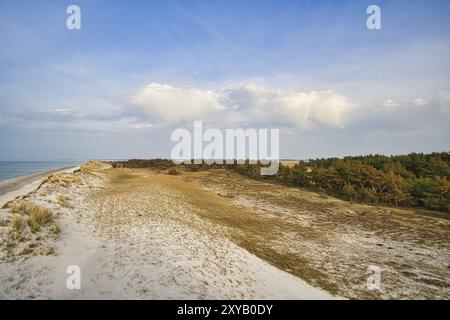 Duna alta sul darss. Punto panoramico nel parco nazionale. Spiaggia, Mar Baltico, cielo e mare. Foto della natura in Germania Foto Stock