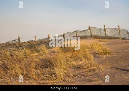 Dune sulla spiaggia di Warnemuende Foto Stock
