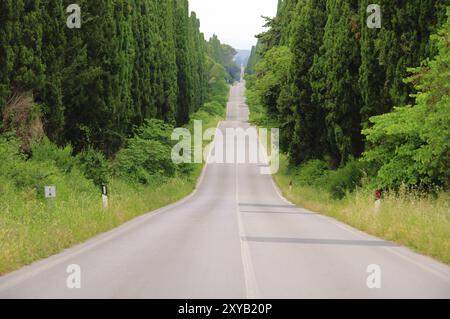 Cypress avenue più lunga dall'Italia, Cypress avenue più lunga dall'Italia 01 Foto Stock