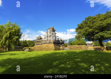 Primo piano della natura con prato e un piacevole parco con l'imponente antica fortezza del castello di Matsumoto in una giornata di cielo azzurro nella prefettura di Nagano, Giappone, AS Foto Stock