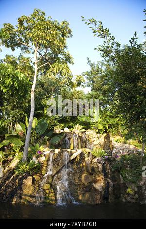 Piccola cascata nella foresta pluviale della giungla. Collezione naturalistica Foto Stock