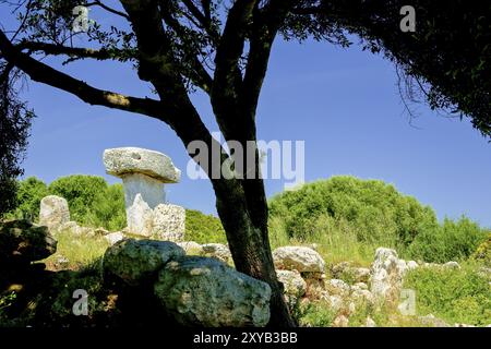 Taula de sa Torreta (Torre Blanca) . Parc Natural de S' Albufera des Grau.Menorca.Reserva de la Bioesfera. Illes Balears. Espana Foto Stock