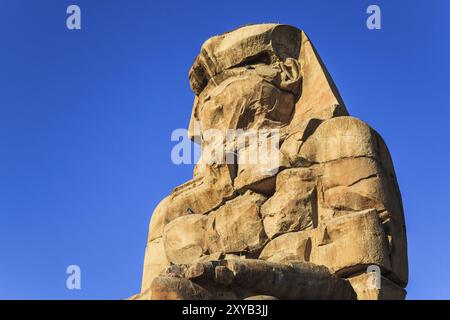 Antica scultura del colosso memnone, luxor, egitto Foto Stock