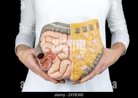 Persona femmina trattiene intestino umano modello a corpo isolato su sfondo nero Foto Stock