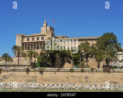 Un castello con un muro di pietra densamente ricoperto e palme in estate sotto un cielo limpido, palma di Maiorca, maiorca, isole baleari, spagna Foto Stock