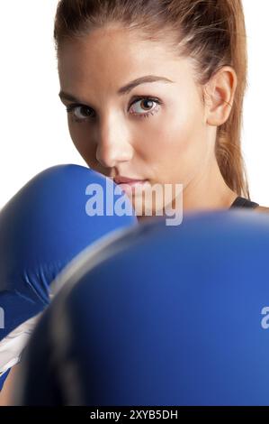 Boxer femmina pronto a combattere, isolato in uno sfondo bianco Foto Stock