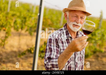 Il custode regge un bicchiere di vino rosso intenso, sorridente mentre si erge tra file di viti, illuminato dal soffice bagliore del sole che tramonta Foto Stock
