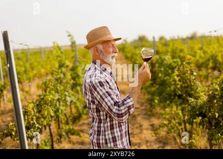 Il custode regge un bicchiere di vino rosso intenso, sorridente mentre si erge tra file di viti, illuminato dal soffice bagliore del sole che tramonta Foto Stock
