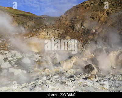 Campo solfatar di Seltun nel sistema vulcanico Krysuvik nel sud della penisola di Reykjanes in Islanda Foto Stock