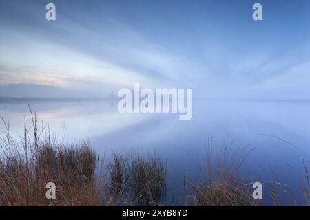 Nebbia e paesaggio nuvoloso sul lago selvaggio al crepuscolo Foto Stock