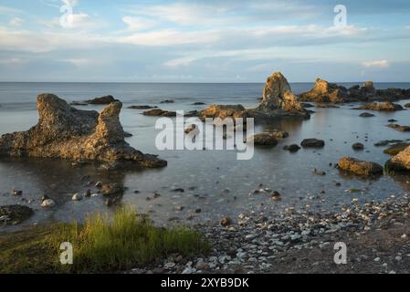 Le famose scogliere calcaree (Raukar) di Folhammer vicino a Ljugarn sull'isola di Gotland alla luce di una mattina presto in estate. Esposizione lunga. Il Foto Stock